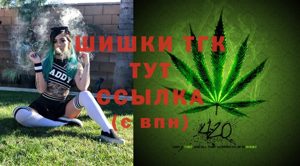 PSILOCYBIN Мегион